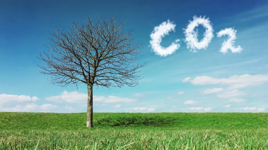 Carbon Reduction Plan